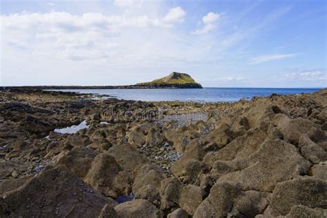 Worms Head Causeway at Low Tide Stock Photo - Image of rocks, peninsula ...