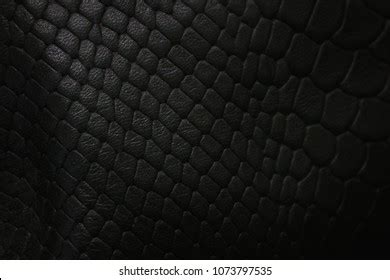 Black Snake Skin Texture