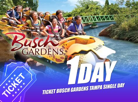 TICKET BUSCH GARDENS TAMPA SINGLE DAY – Joania Tours