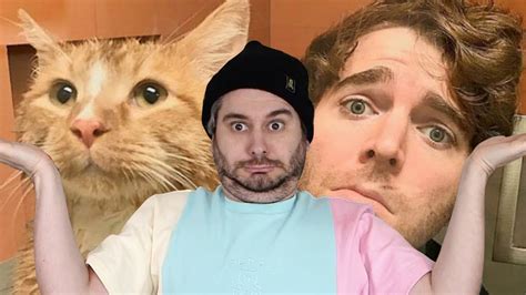 Shane Dawson Did WHAT With His Cat?! | H3H3 Recap – memes