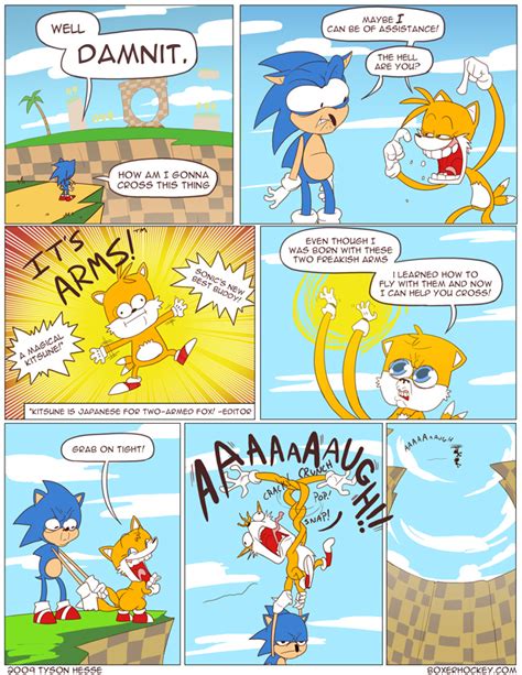 Hedgehog the sonic | Sonic funny, Sonic the hedgehog, Sonic art