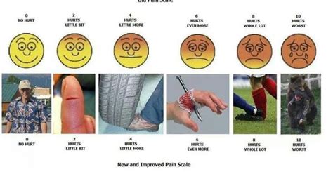 Funny Pain Scale Chart