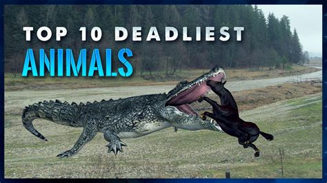 The 10 Deadliest Animals On Earth - Savage - YouTube