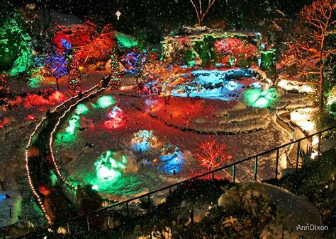 "BUTCHART Gardens : Winter Wonderland" by AnnDixon | Redbubble