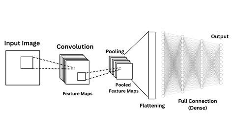 Convolutional Neural Network (CNN): Architecture Explained | Deep ...