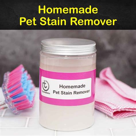 6 Simple Home Remedies for a Pet Stain Remover