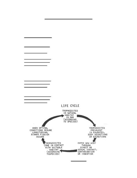 Figure 1-26. Life cycle of Trichomonas species. - Parasitology II