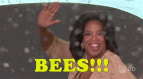 Oprah Meme Bees