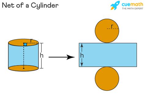 Cylinder - Formula, Definition, Examples | Cylinder Shape (2022)