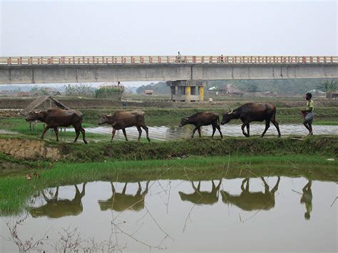 A powerful earthquake builds up beneath Bangladesh as scientists ...