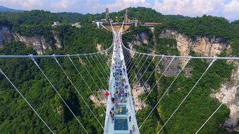 बिहार में है दुनिया का सबसे खूबसूरत 200 फीट ऊंचे कांच का ब्रिज: Rajgir Glass Bridge In Bihar In ...