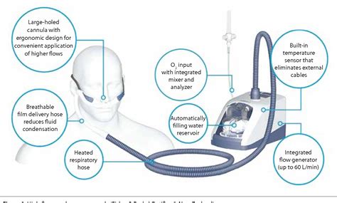 High Flow Nasal Oxygen Therapy: From Physiology to Clinic | Semantic ...