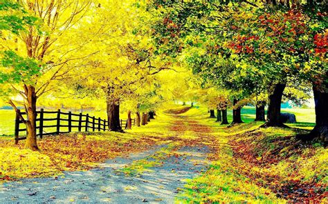 Fall Background Scenes Autumn Desktop Wallpaper Scene Scenes Background ...