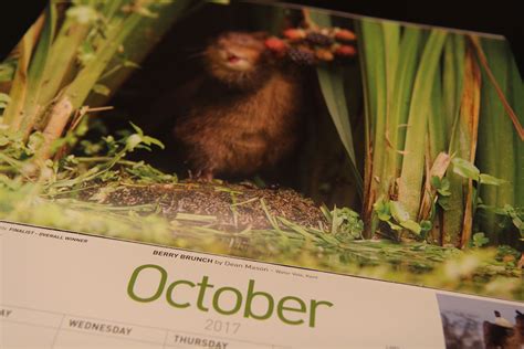 Bbc Countryfile Calendar 2023 Vote – Get Latest News 2023 Update