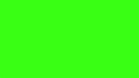 Solid Neon Green Background