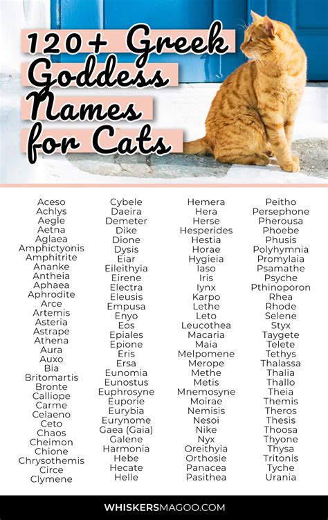 120+ Greek Goddess Names for Cats - Whiskers Magoo