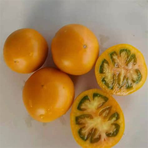 F1 Yellow Tomato Seeds-ST003,Vegetable Seeds,Tomato Seeds,Yellow Tomato