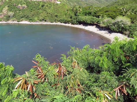 Honolua Bay (plus Honolua Forest) nature walk, surf & snorkeling