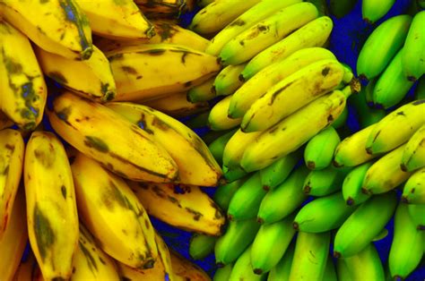 25 Fun And Interesting Facts About Plantains - Tons Of Facts