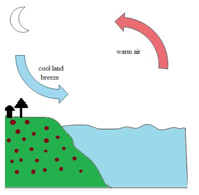 Explain with a diagram how the land breeze originates.