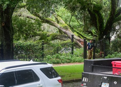 Hurricane Idalia fells historic oak tree at Florida governor's mansion