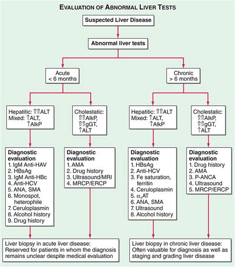 Acute Viral Hepatitis | Clinical Gate