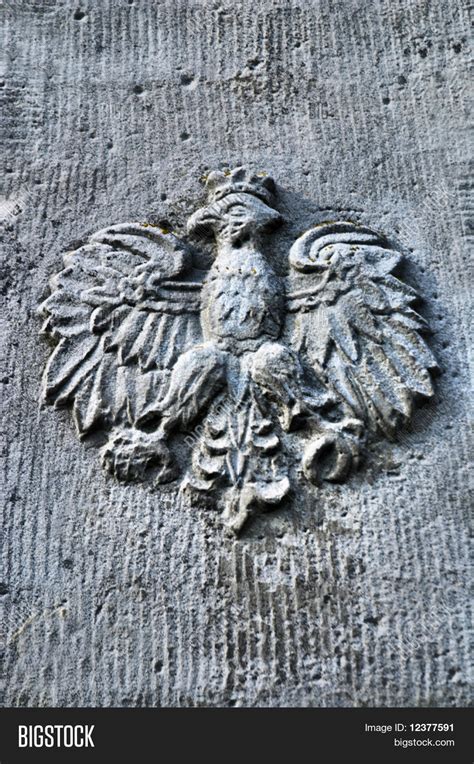 Old Polish Eagle. Image & Photo (Free Trial) | Bigstock