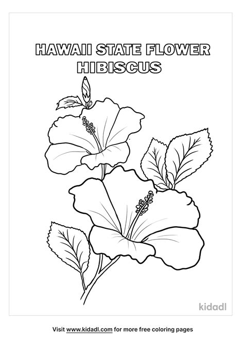 Hawaii State Flower Coloring Page. Free Flowers Coloring Page - Coloring Home