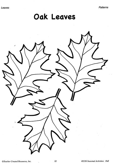 Oak Leaf Drawing Template at GetDrawings | Free download