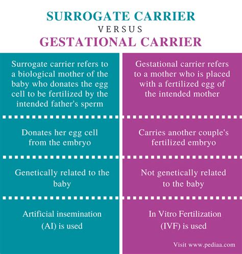 Difference Between Surrogate and Gestational Carrier | Definition, Egg ...