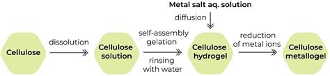 Gels | Free Full-Text | Cellulose-Based Metallogels—Part 2: Physico-Chemical Properties and ...