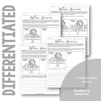 Natural Selection Worksheet for Review or Assessment by Science from the South