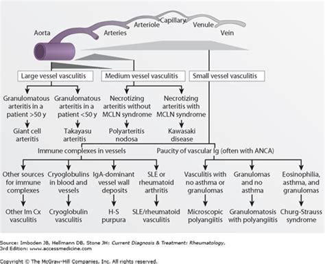 Introduction to Vasculitis: Classification & Clinical Clues ...