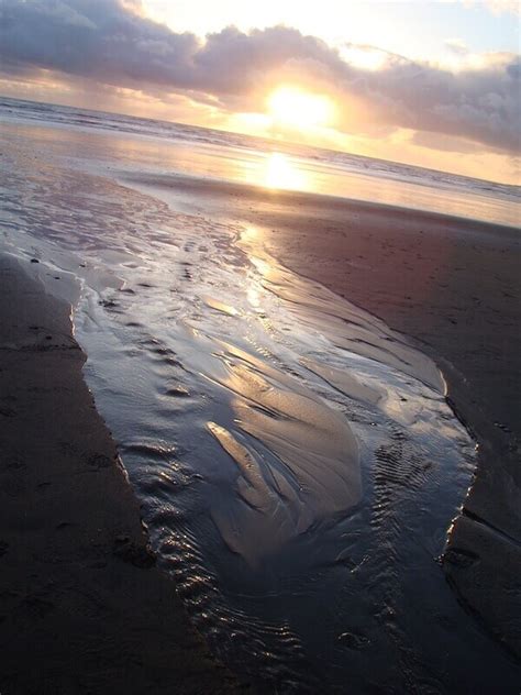 Our Guide to Visiting Kalaloch Beach - Our Adventure Journal