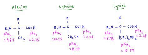 SOLVED: Draw The Zwitterion Structure For Each Of The, 51% OFF