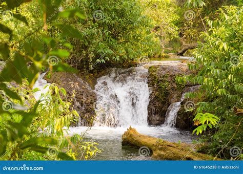 Waterfall in Bonito stock photo. Image of brazil, nearby - 61645238