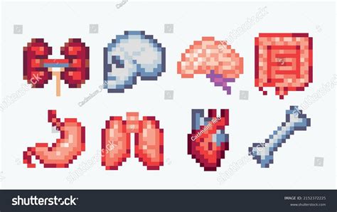 Internal Organ Pixel Art Bit Anatomy Of Human Heart And , 51% OFF