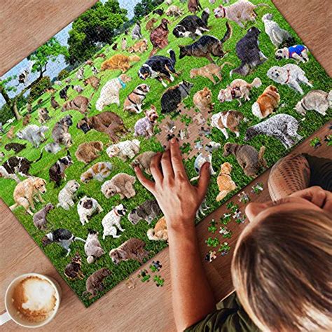 1000 Piece Puzzle, 101 Pooping Puppies, Dogs Pooping Puzzle | Pricepulse