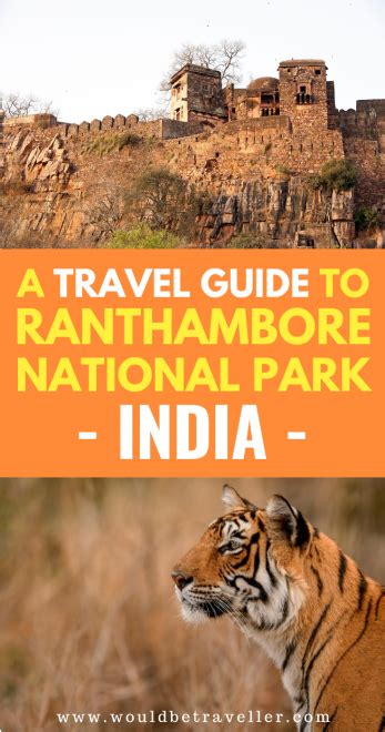 Ranthambore Travel Guide: How To See Tigers In The Wild In India