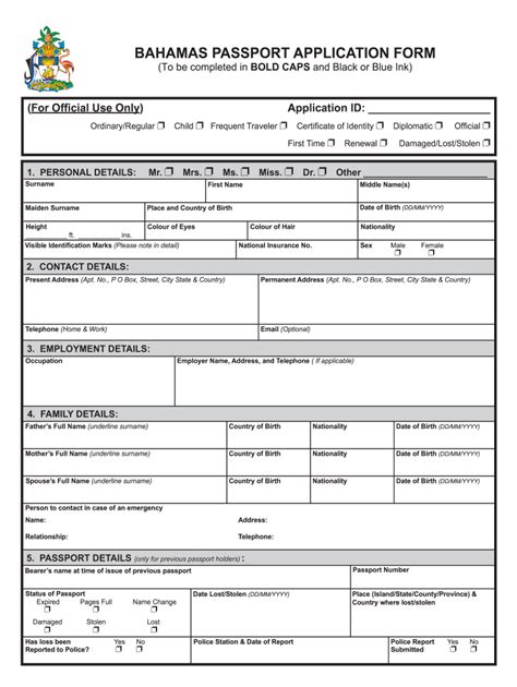 Application For A U S Passport Fillable Form - Printable Forms Free Online