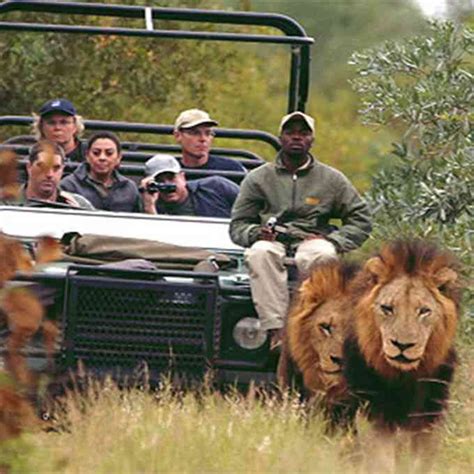 Sabi Sands Game Reserve - The ultimate luxury safari South Africa ...