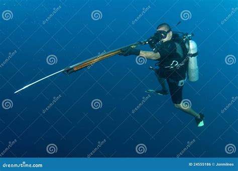 127 Scuba Diver Harpoon Gun Stock Photos - Free & Royalty-Free Stock Photos from Dreamstime