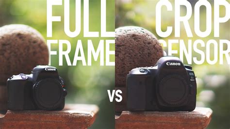 Difference between full frame and crop sensor camera - tsgulf