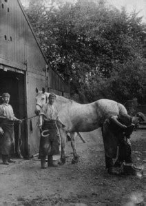 Slamannan Village – A History – Falkirk Local History Society