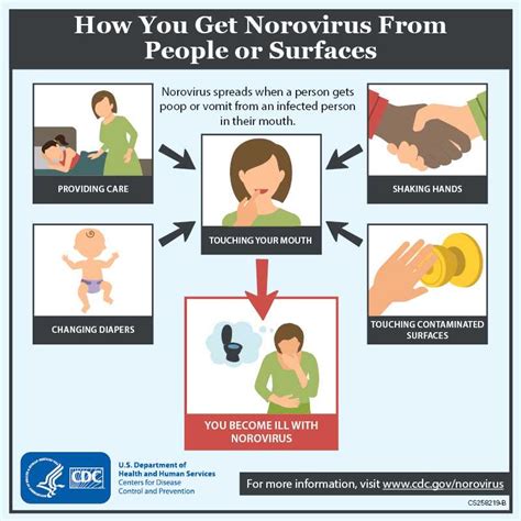 Norovirus 2024 Treatment Options - Corri Doralin