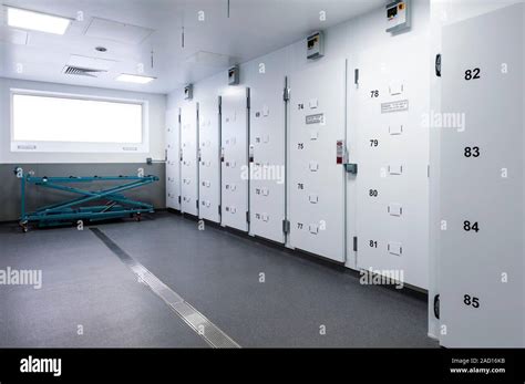 Morgue storage area. Cadaver storage area in a hospital morgue or ...