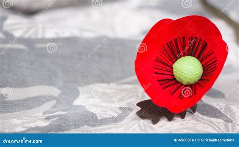 Red Poppy is a Symbol of Thailand Veterans Day Stock Image - Image of ...