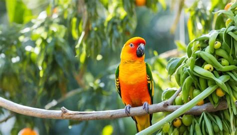 Sun Conure Care Guide: Tips & Facts Revealed