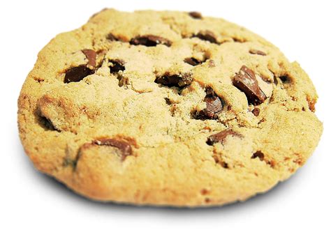 File:Choco chip cookie.png - Wikimedia Commons