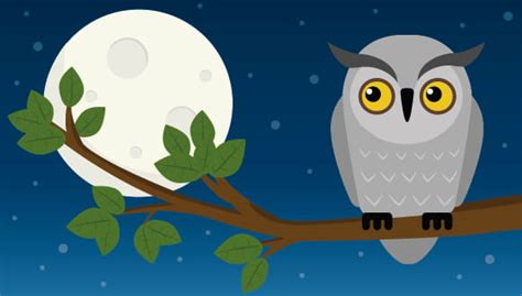 So, You're A Night Owl: Is That Bad? | Houston Methodist On Health